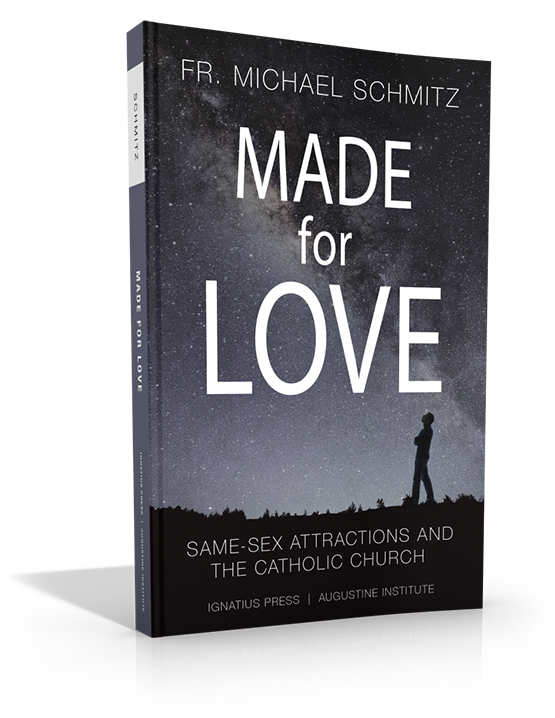 New Fr. Mike Schmitz Book. Made for Love. View Book Sample Rosary of